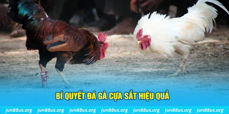 new 88 xổ số miền bắc thứ ba hàng tuần