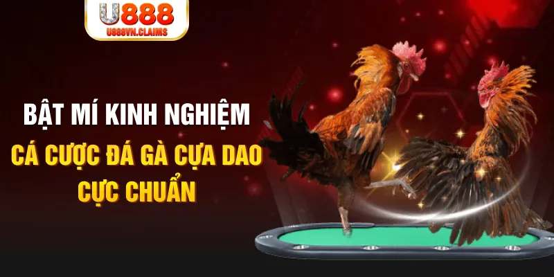 new 88 casino hồ tràm có cho người việt vào không