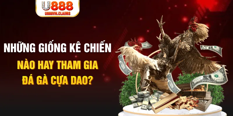 new 88 BG Trực Tuyến