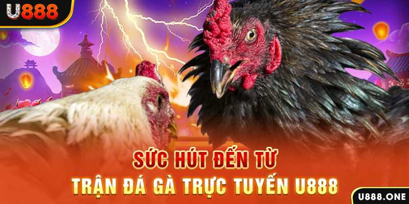 new 88 đăng nhập poker 2024