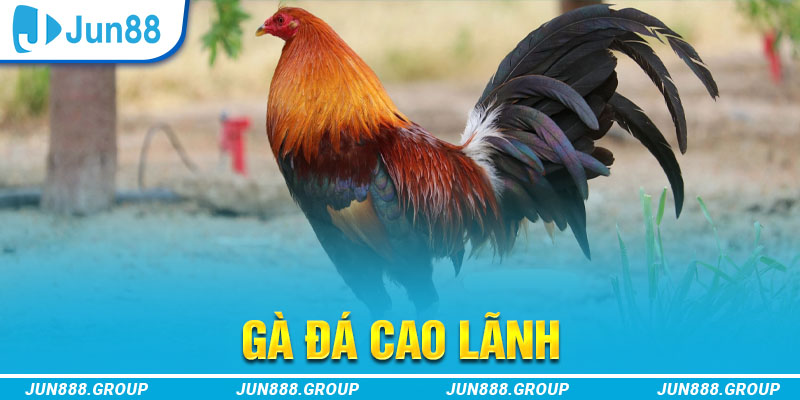 new 88 tai game vua bai ve may tinh