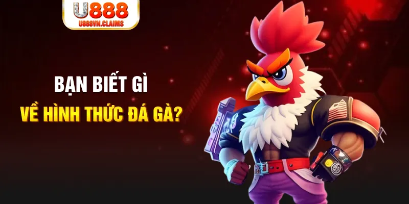 new 88 đăng nhập liêng tặng tiền