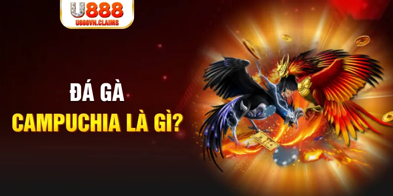new 88 what is the best online casino for real money