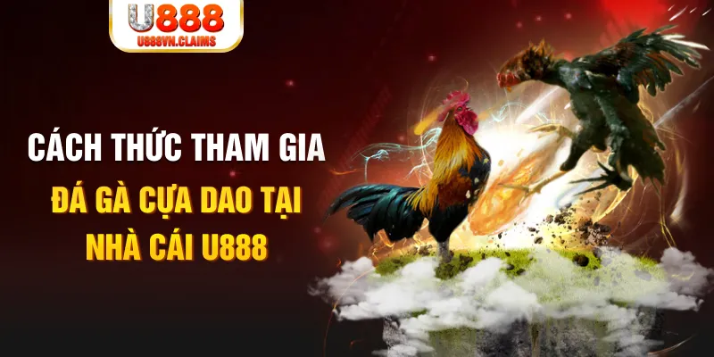 new 88 đá gà 88.com