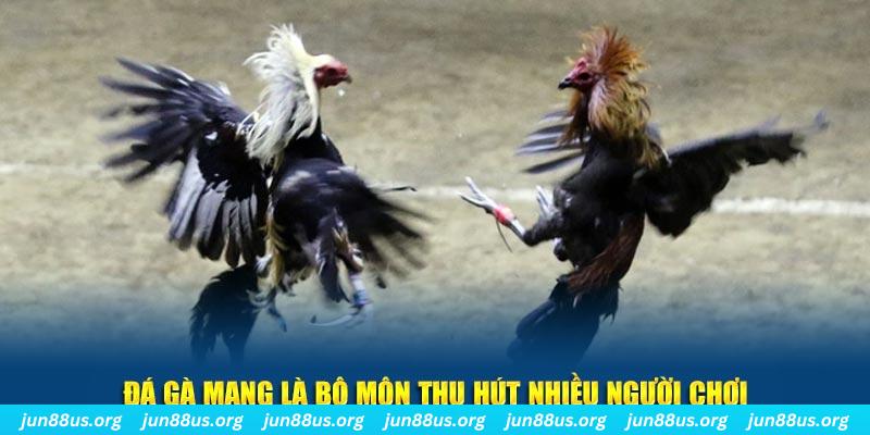 new 88 đăng nhập sòng bạc số 1