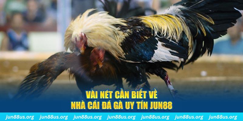 new 88 trò máy bay nổ hũ
