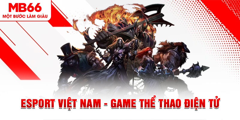 new 88 xổ số sóc trăng