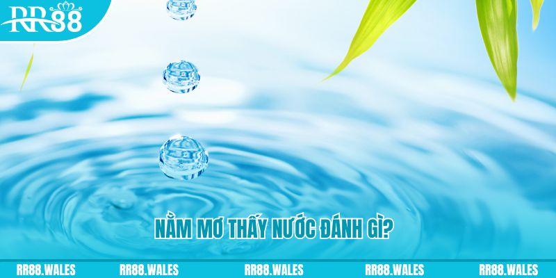 new 88 xổ số trực tiếp miền bắc