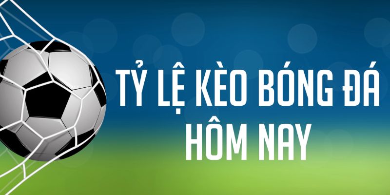 new 88 đăng nhập phỏm