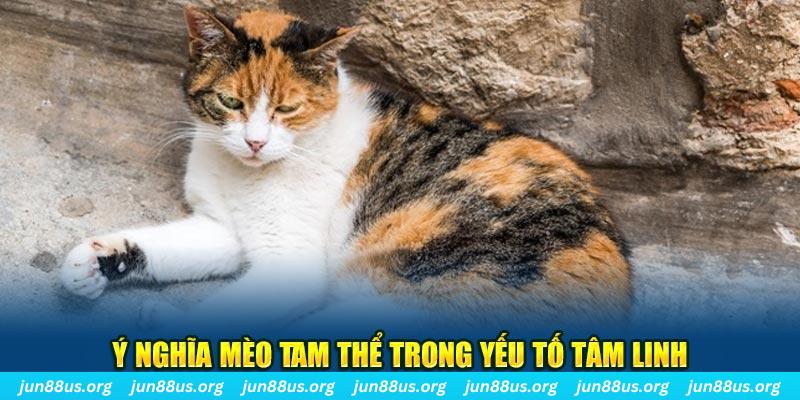 new 88 máy slot game là loại trò chơi gì？