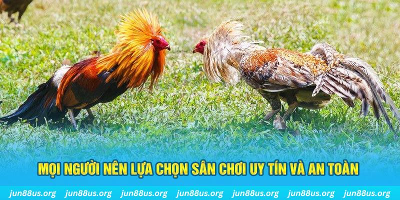 new 88 đăng nhập poker 2025