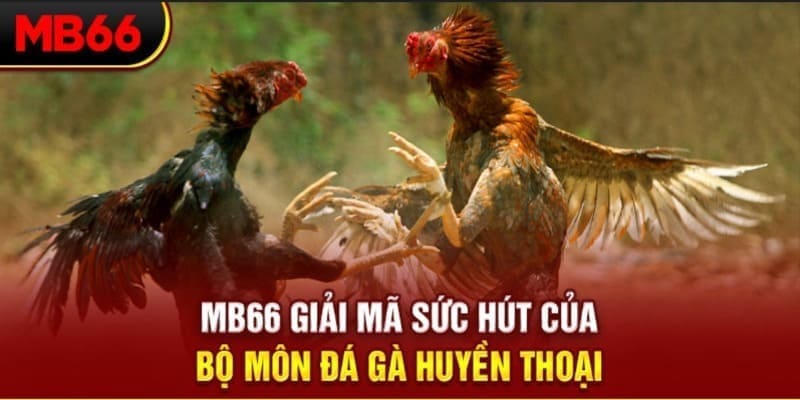 new 88 xổ số đài bắc