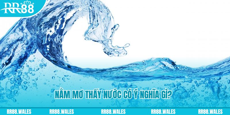 new 88 nổ hũ là game gì