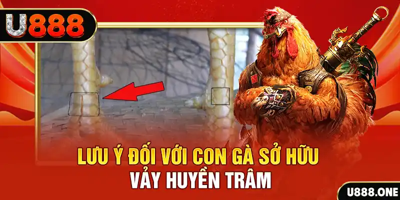 new 88 tải game đánh bài tiến lên miền nam về máy tính