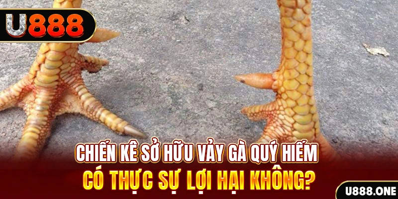 new 88 xổ số miền trung