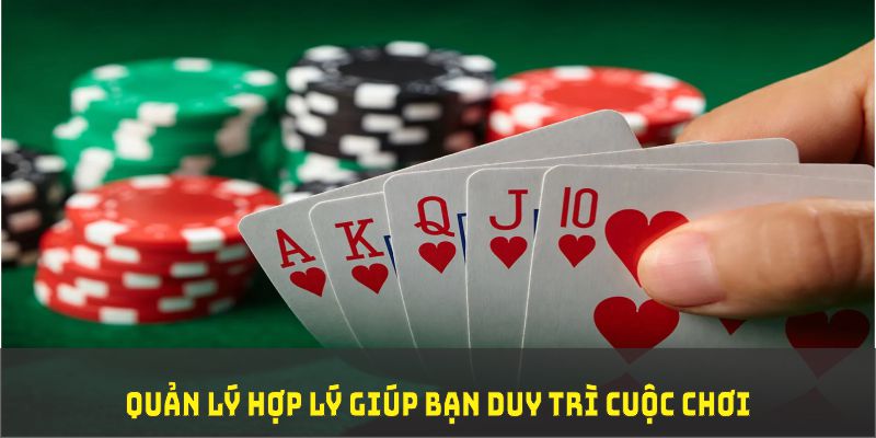new 88 đá gà trực tiếp thomo 67