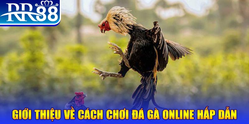 new 88 bắn cá h5 là gì