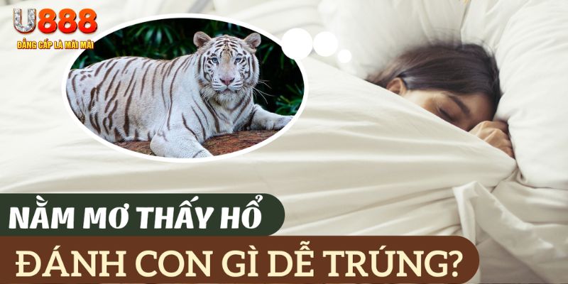 new 88 nohu .mx nổ hủ là gì