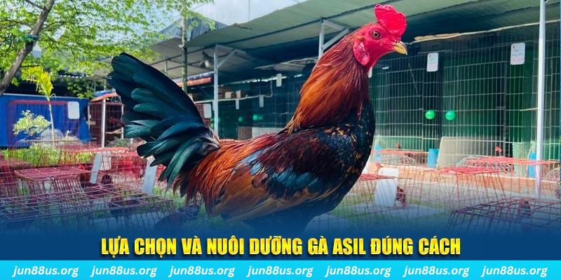 new 88 nổ hũ thần tài là gì