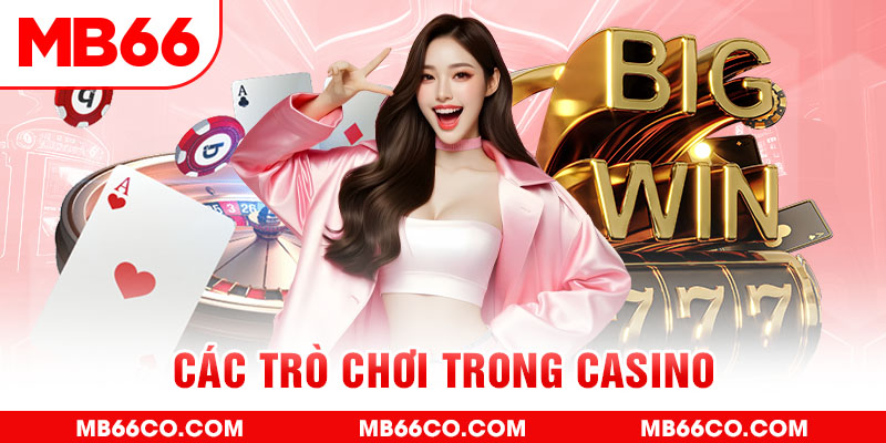 new 88 chổi lông gà
