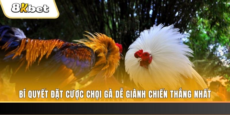 new 88 nổ hũ chơi như thế nào