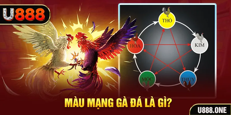 new 88 V8 Game Bài 3d