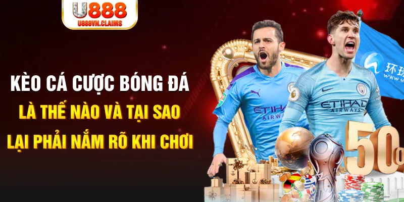 new 88 gà chọi c1 mới nhất