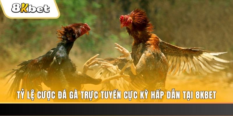 new 88 xổ số miền bắc chủ nhật