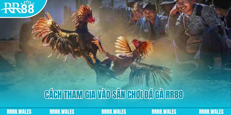 new 88 nổ hũ 500m là gì