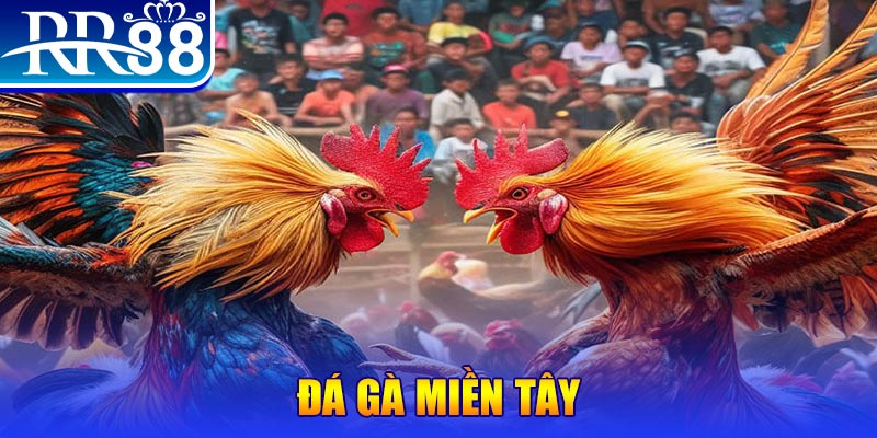 new 88 đăng nhập liêng đổi thưởng