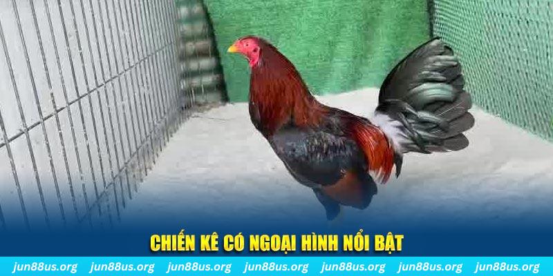 new 88 qq88 bắn cá