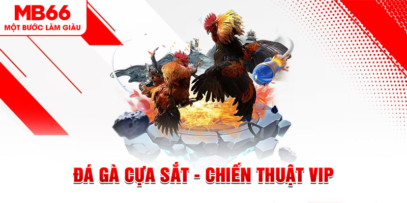 new 88 slot out là gì