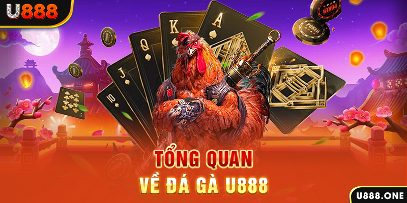 new 88 xổ số vietlott