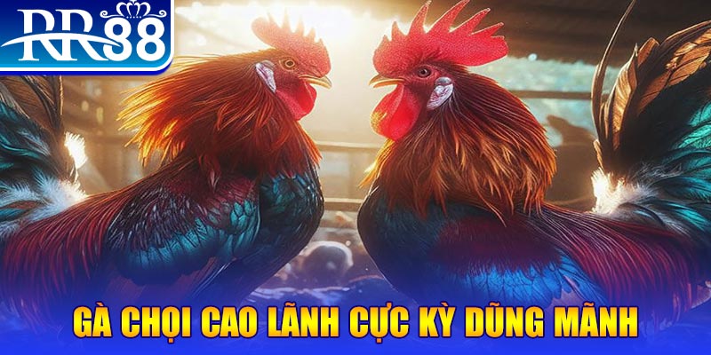 new 88 đăng nhập poker live